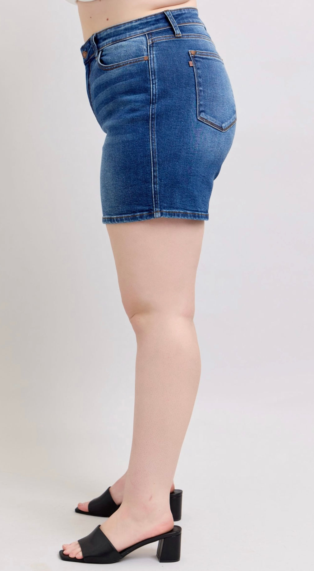 Plus-Size Judy Blue High Rise Stretchy Medium Wash Short