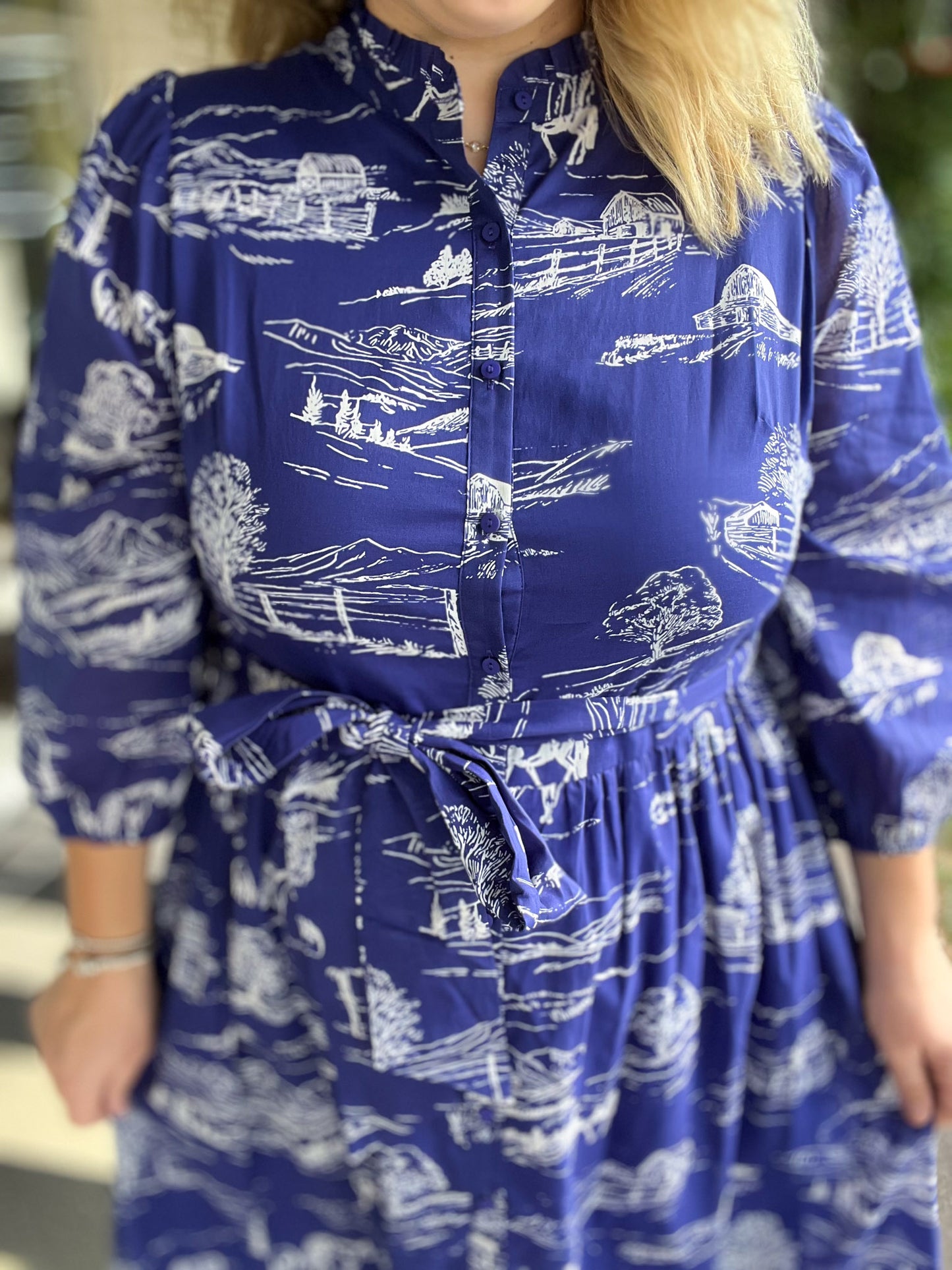 It Takes a Village Plus-Size Toile Maxi Dress