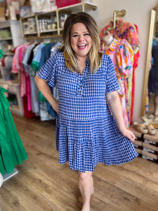 Gingham & Grace Curvy Blue Mini Dress