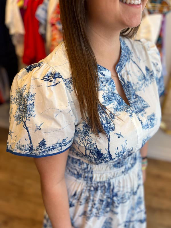 "Gone Grandmillennial' Curvy Blue Toile Landscape Maxi Dress