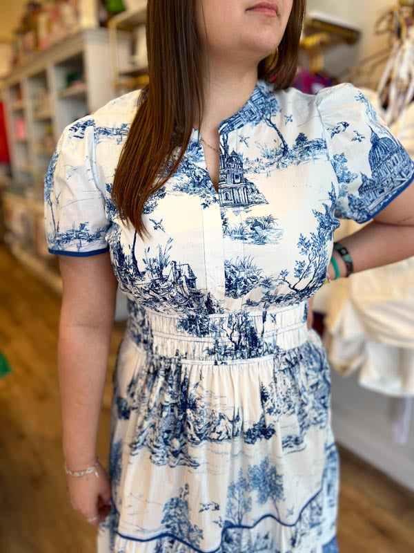 "Gone Grandmillennial' Curvy Blue Toile Landscape Maxi Dress