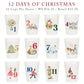 12 Days of Christmas Frosted Cups