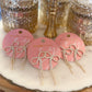 Adorable Shine Bow Earrings