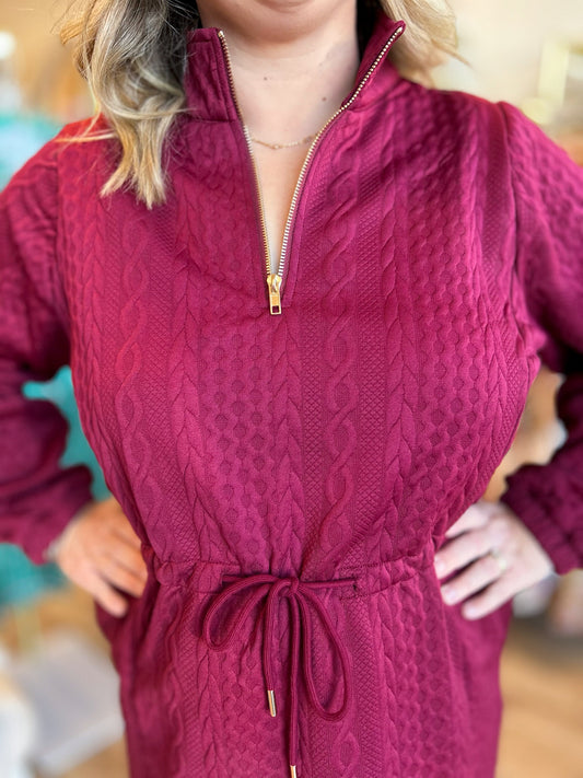 Holly Berry Curvy Zipper Dress