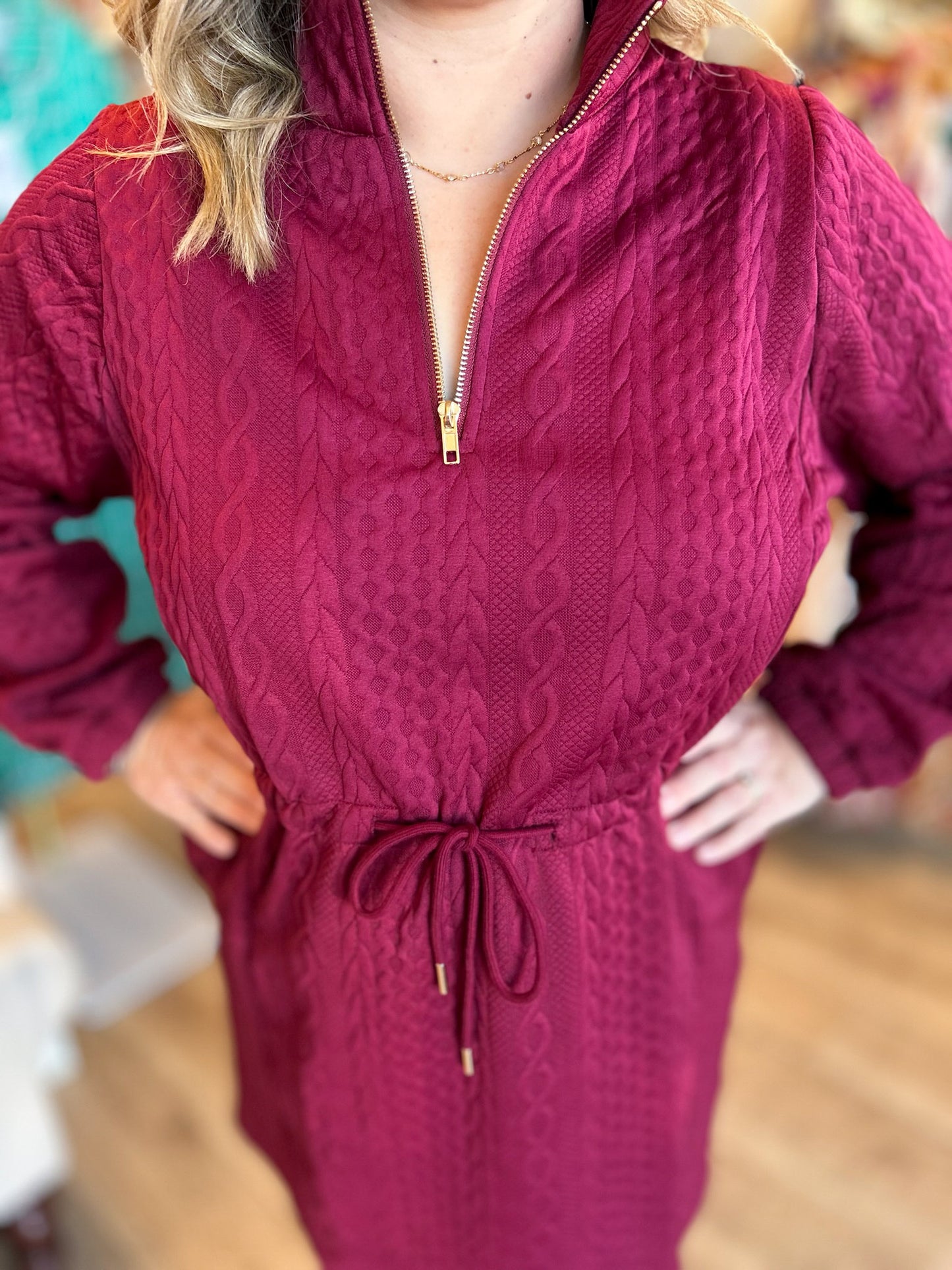 Holly Berry Curvy Zipper Dress