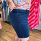 Judy Blue Plus-Size Dark Wash Shorts
