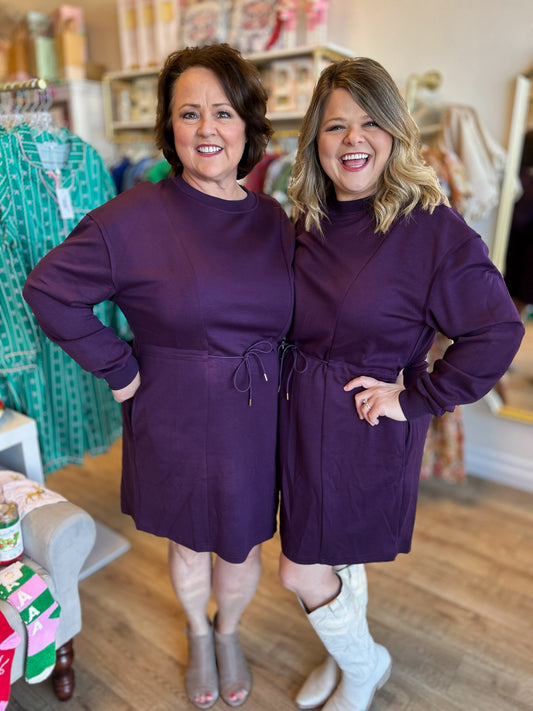 Plum Perfection Curvy Knit Mini Dress